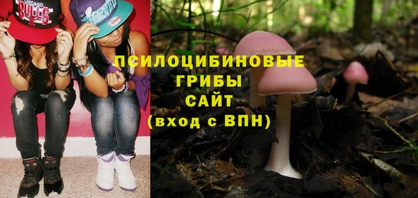 стаф Алзамай