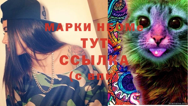 стаф Алзамай